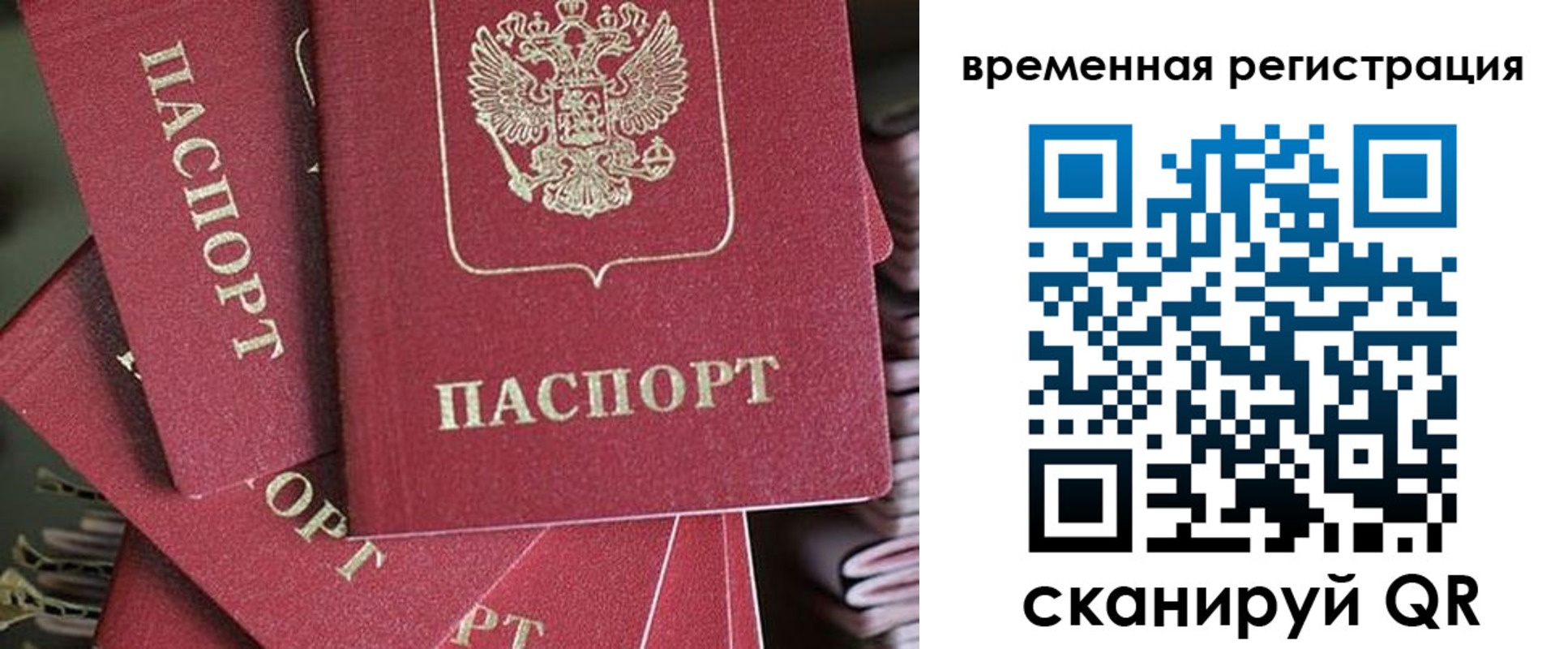 прописка в квартире в Мытищах